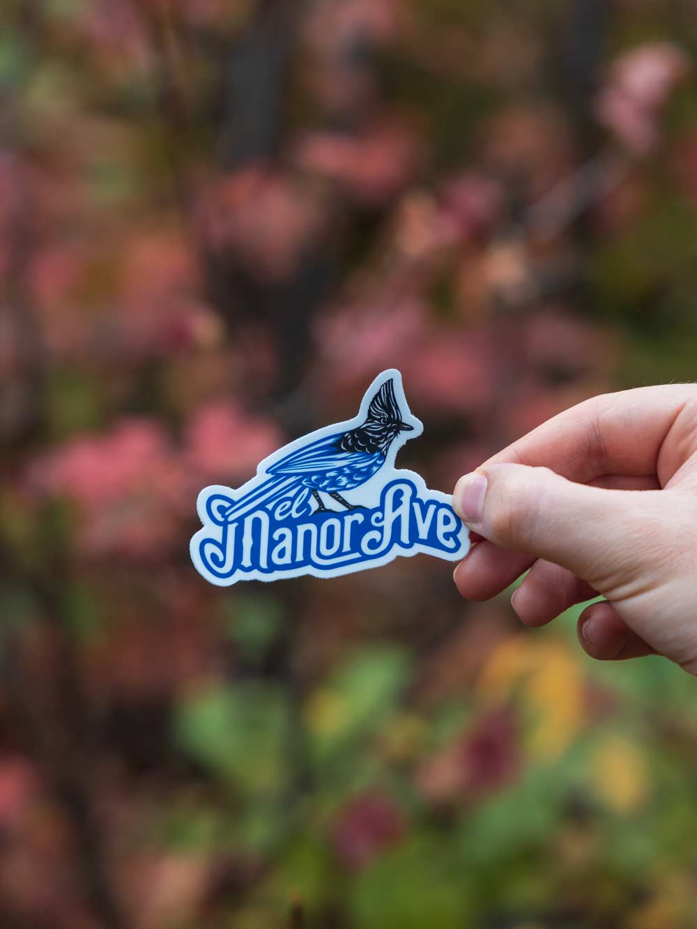Photo of the El Manor Ave logo sticker being held in the woods with fall colors behind it.